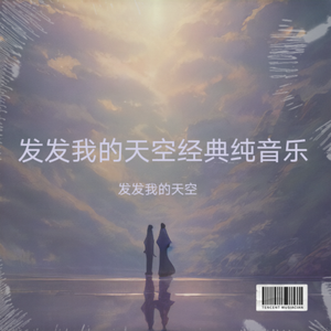 梁祝 DJ动感节拍纯音乐版（发发我的天空 remix）