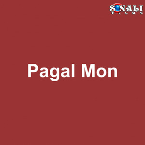 Pagal Mon Manav Jibon Karo Brindaban