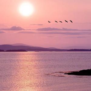 悲伤剧情 苏星婕