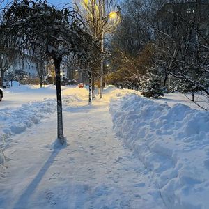 冬天的雪落在七月的夏