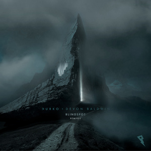 Blindspot (Danny Olson Remix)