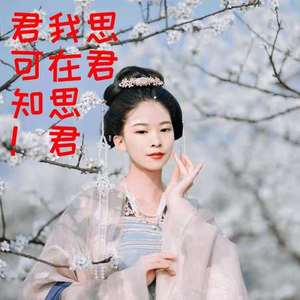 思君（发行版）