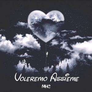 Voleremo assieme