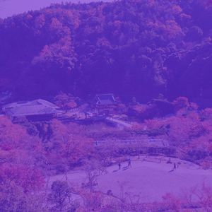 柔和的温泉时刻