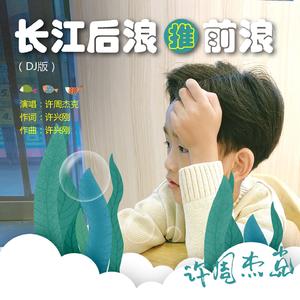 长江后浪推前浪 (DJ版)