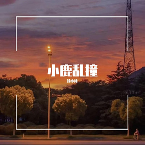 小鹿乱撞 - 颜小林