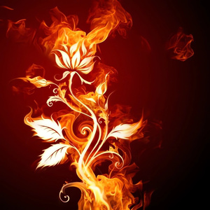 Incineration