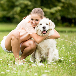 Harmonic Pet Harmony