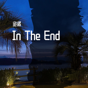 Various Artists-Linkin Park - In The End（诡谲 remix）