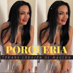 Porqueria