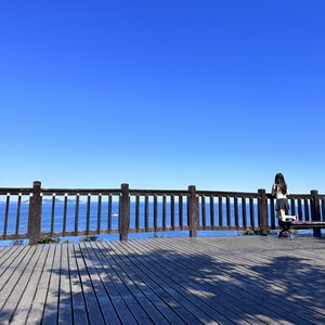 把你的未来算进我的未来