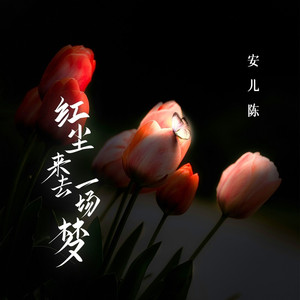 红尘来去一场梦 (伴奏)