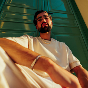 Alan Walker Dancing in the moon