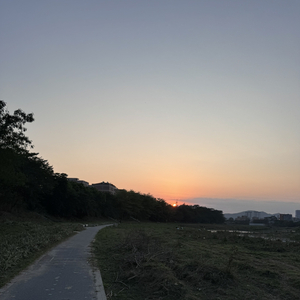 2041529453732958209.wav