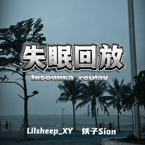 失眠回放