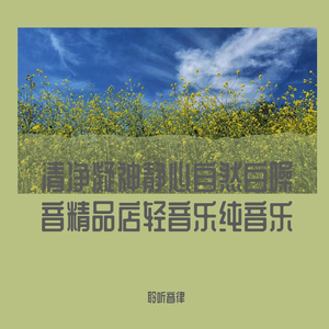 静心放松轻音乐