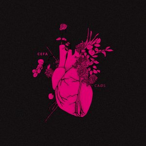 Distorcendo as Palavras - CAØS REIMAGINADØ