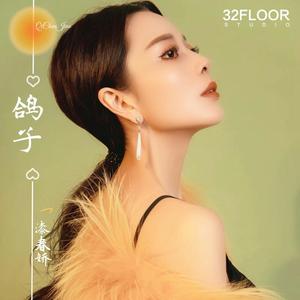 鸽子 (DJheap九天版)