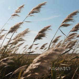 大风在刮大雪在下（二飞 Remix）