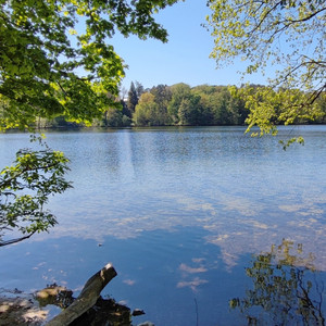 Schlachtensee (Berlin) [Bonusmaterial]