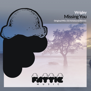 Missing You (Original Mix)