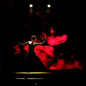 《红》第二幕---双人舞
