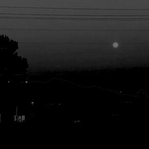 Maybe I will see you (feat. The Final Answer, The Final Article, Hootie & The Blowfish) (feat. The Final Answer, The Final Article & Hootie and The Blowfish)