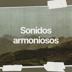 Sonidos de armonía