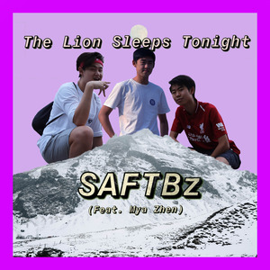 The Lion Sleeps Tonight