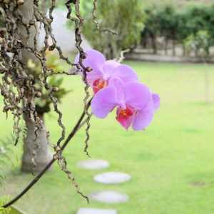 Formas de Amar