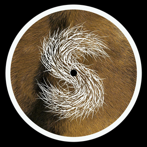 Sonic Glimpses (Instrumental)