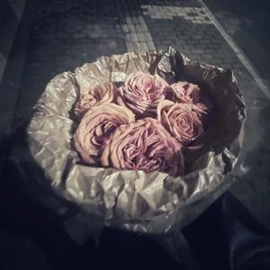 飞鱼（prod.Trai5or）