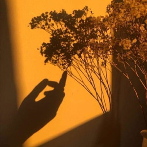 way too many feels 🦋