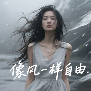 像风一样自由 v2