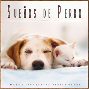 Música para Ayudar A Mi Perro A Dormir