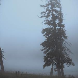 我在太原和谁一起假装悲伤