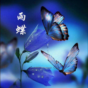 雨蝶