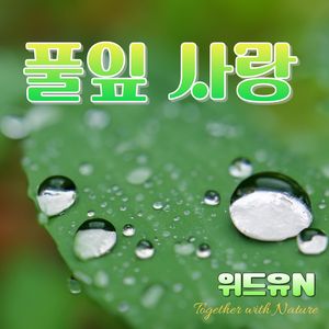 풀잎 사랑