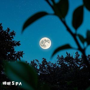 大自然风声催眠（轻音乐）