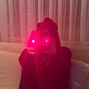 Red Dot (feat. mizuki)