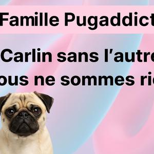 Carlin sans l'autre nous ne sommes rien (feat. Krollyn)