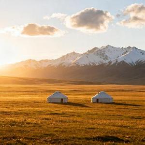 真的不快乐 (Cover 羊羊)