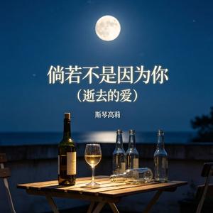 倘若不是因为你（逝去的爱）
