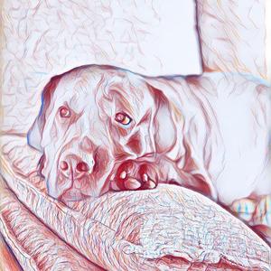 对不对（prod by Clairo x IndieBedroom）