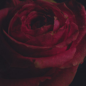 Alleviate (Acoustic)