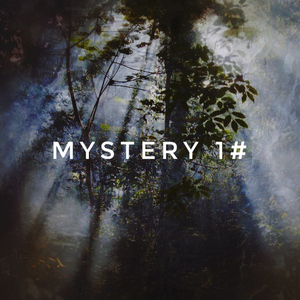 mystery 1#