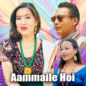 Aammaile Hoi