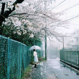 揺らぎ（雨曳）