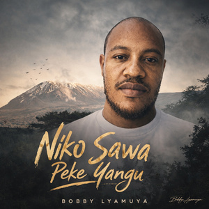 Niko Sawa Peke Yangu