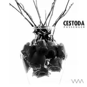 Dark Out (feat. Ady)